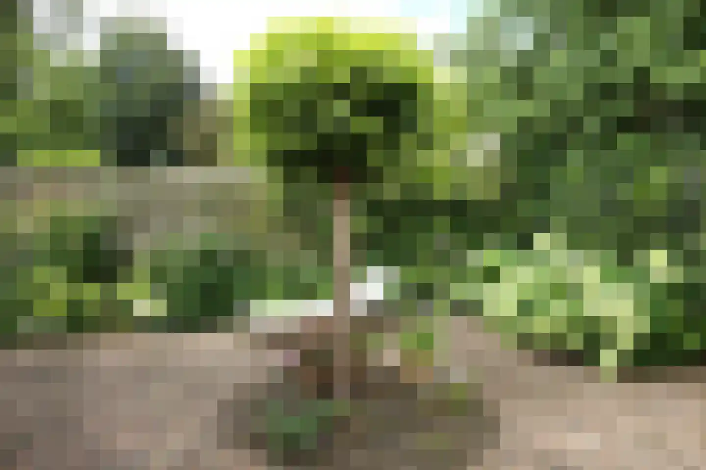Luykenhof 18 Doesburg thumbnail 37