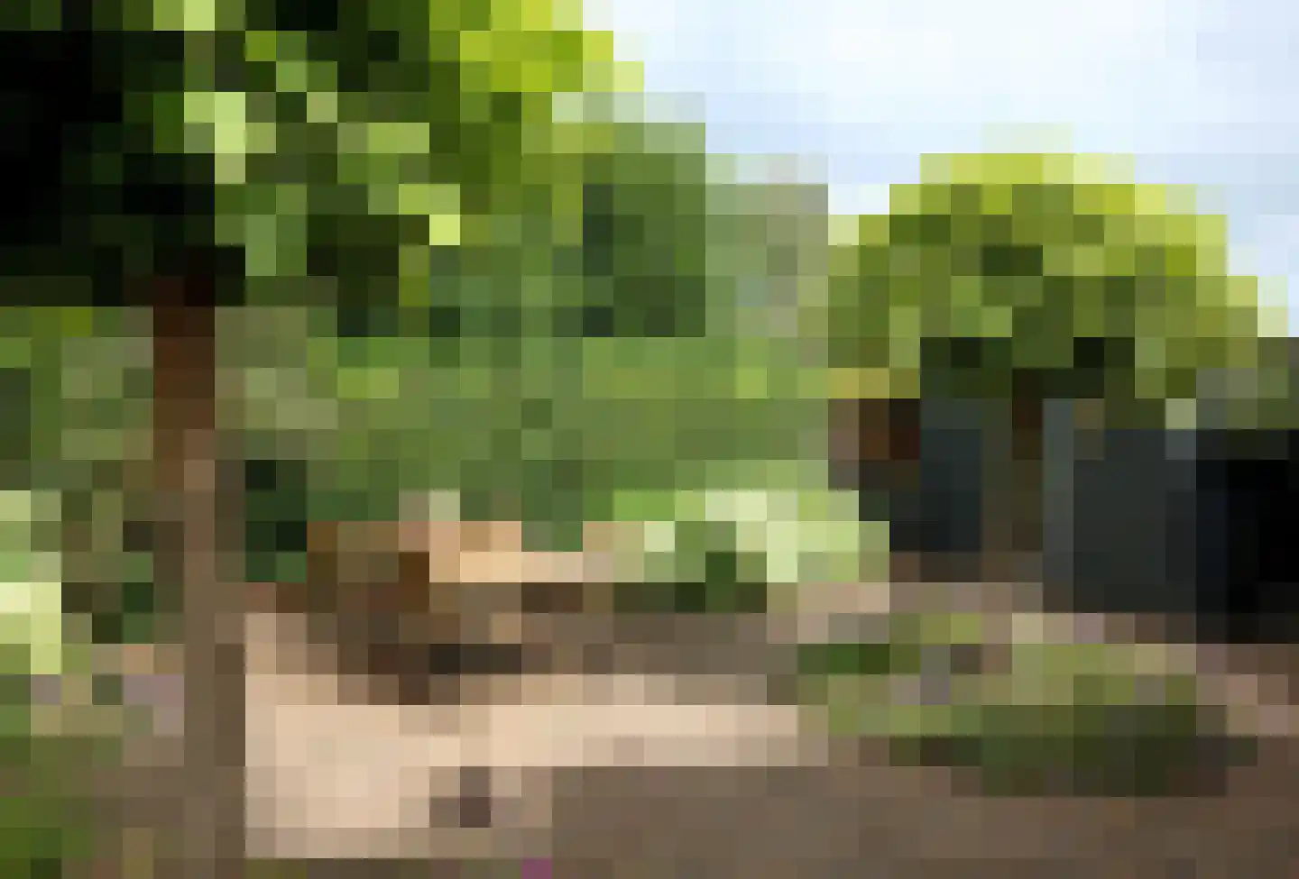 Luykenhof 18 Doesburg thumbnail 38