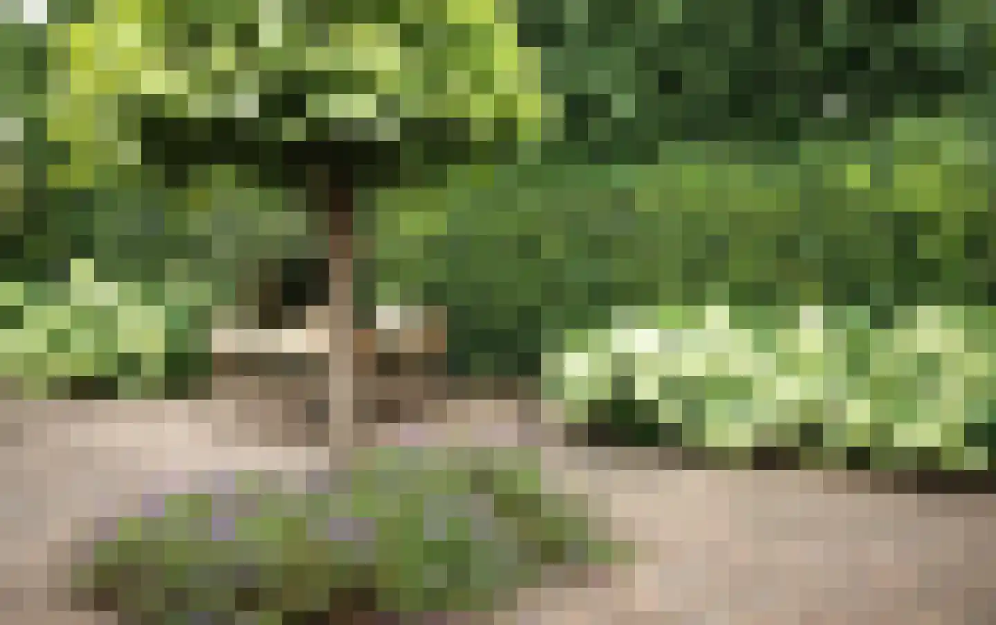 Luykenhof 18 Doesburg thumbnail 42