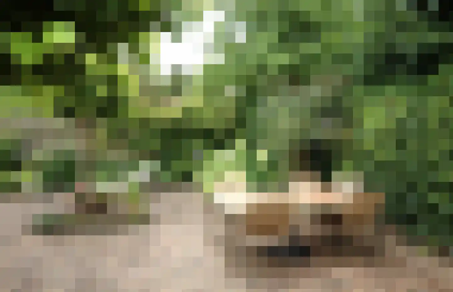 Luykenhof 18 Doesburg thumbnail 43
