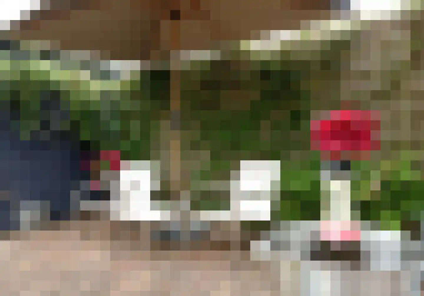 Luykenhof 18 Doesburg thumbnail 44