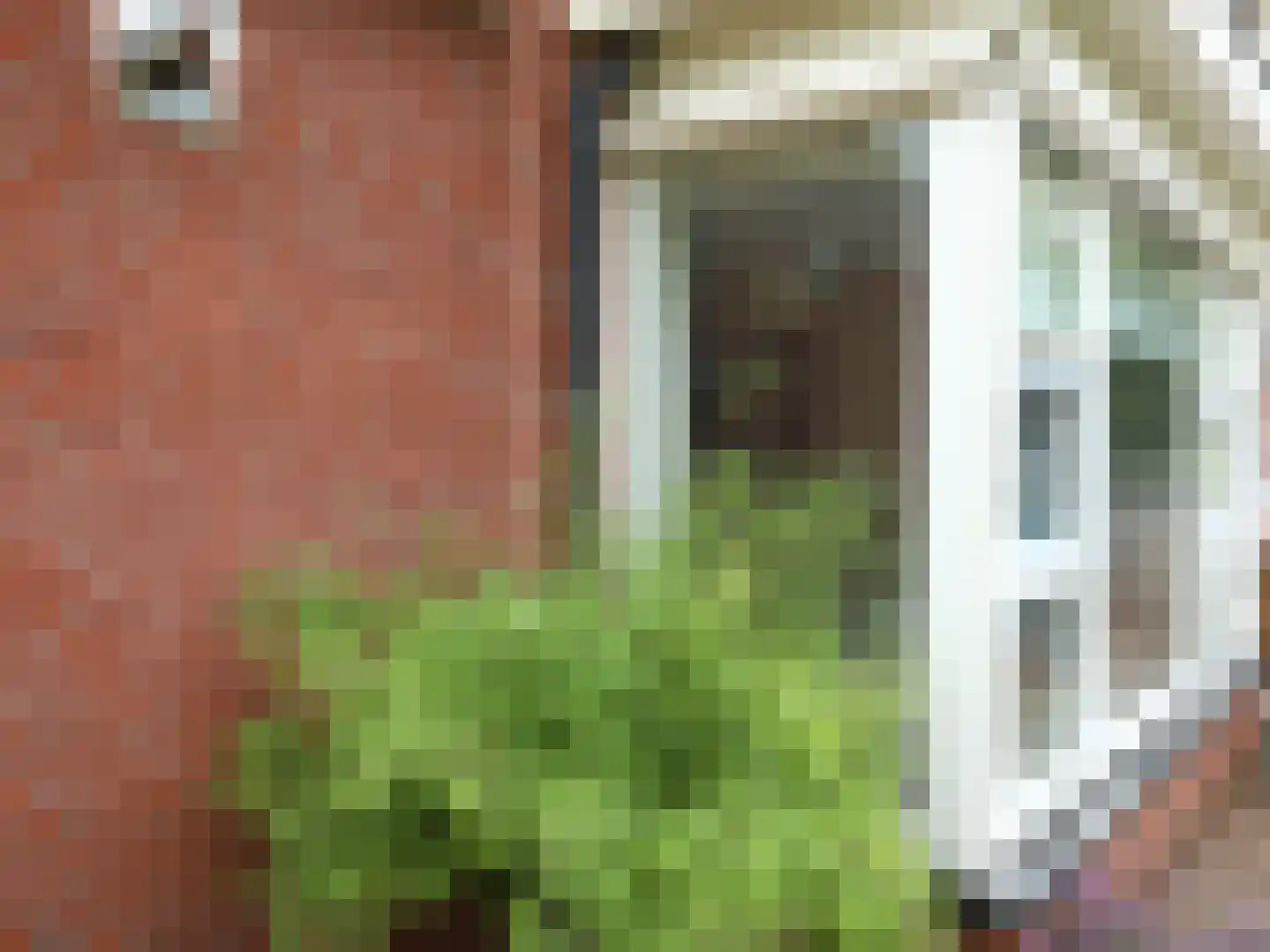 Luykenhof 18 Doesburg thumbnail 48