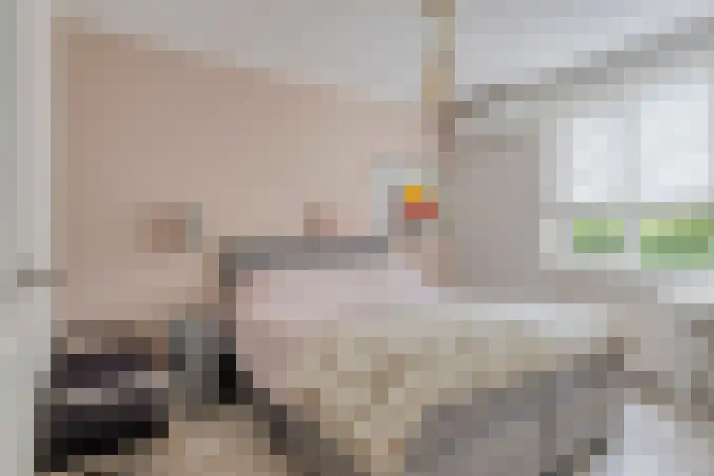 Luykenhof 18 Doesburg thumbnail 5