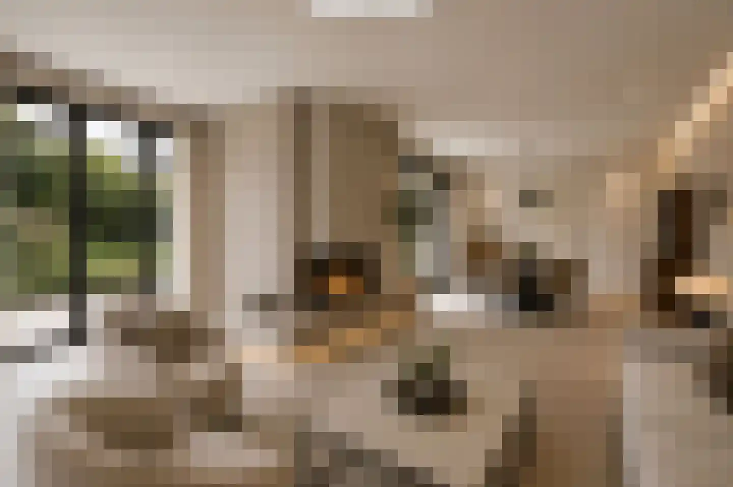 Luykenstraat 7 Goor thumbnail 13