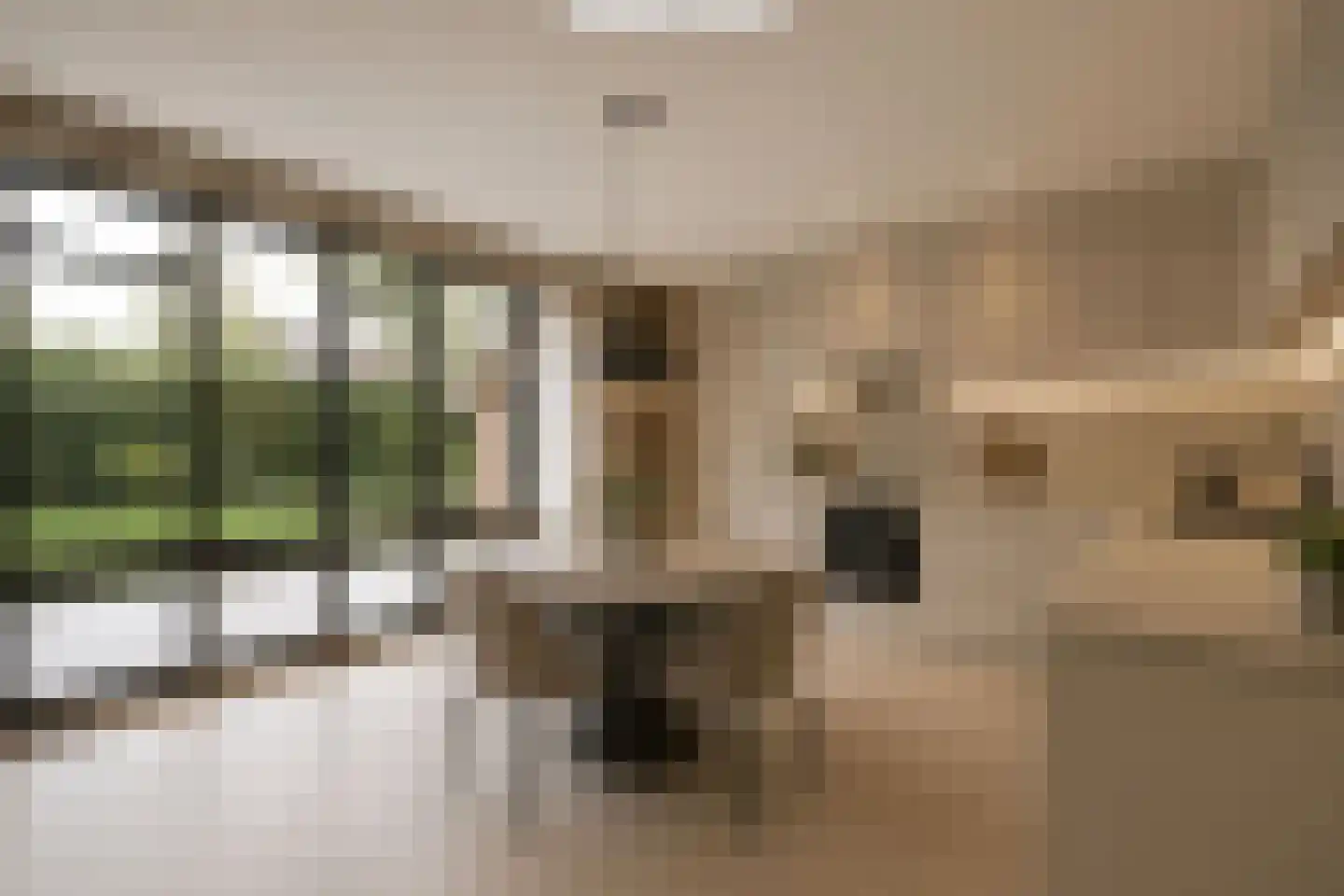 Luykenstraat 7 Goor thumbnail 17