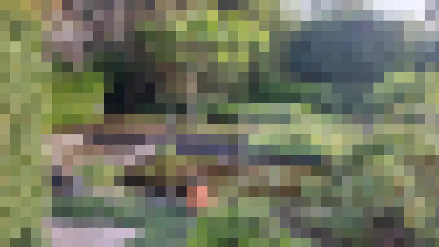 Luykenstraat 7 Goor thumbnail 42