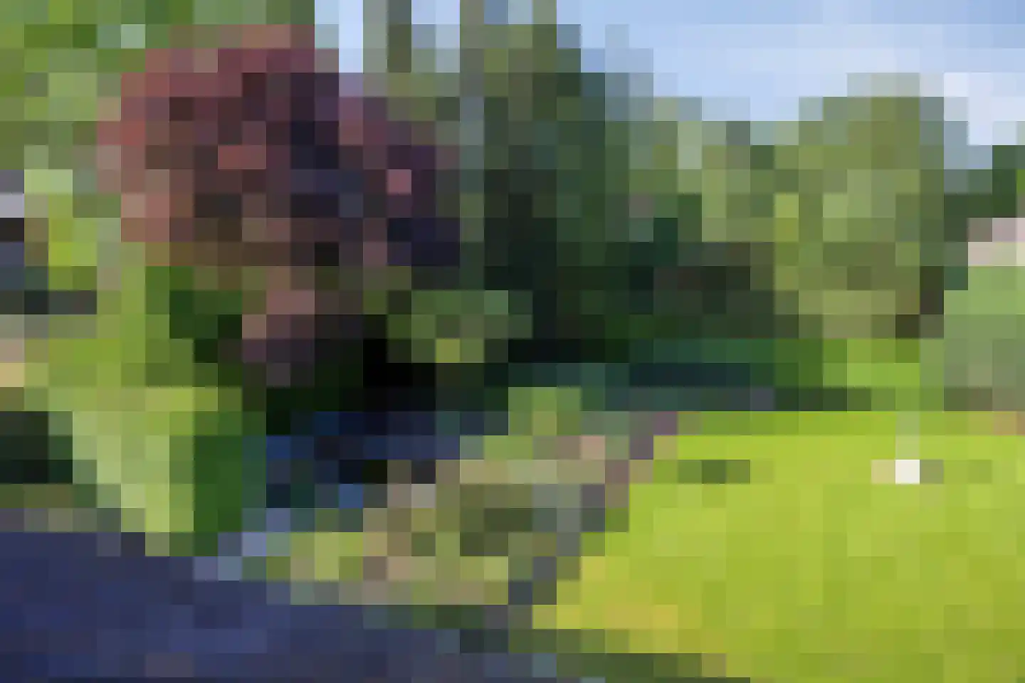 Luykenstraat 7 Goor thumbnail 47