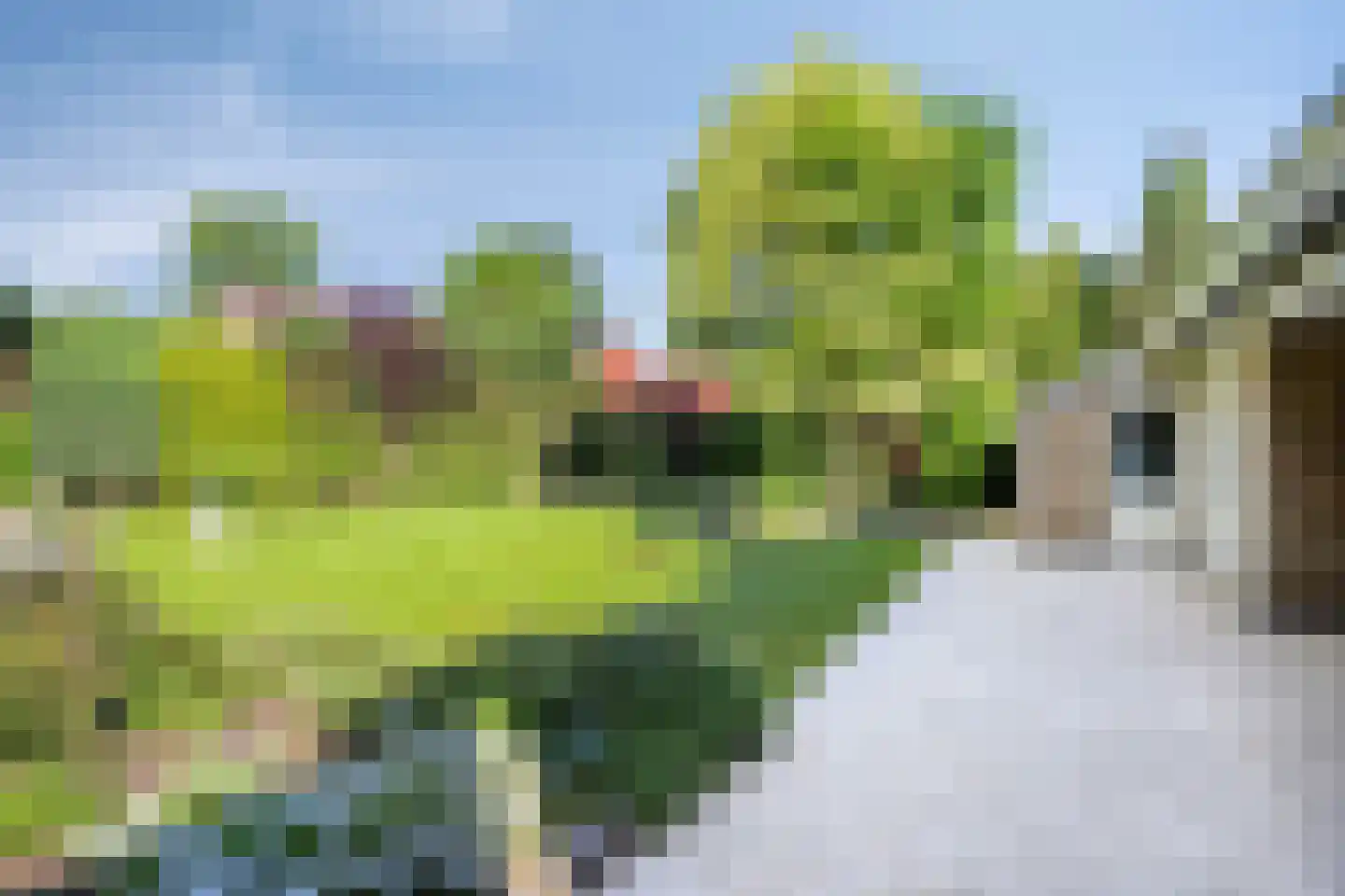 Luykenstraat 7 Goor thumbnail 48