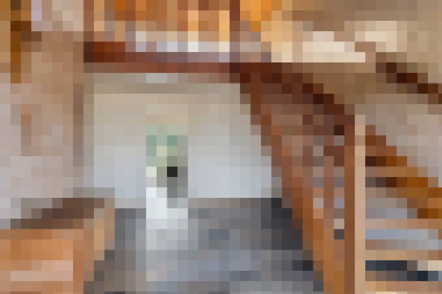 Luykenstraat 7 Goor thumbnail 6