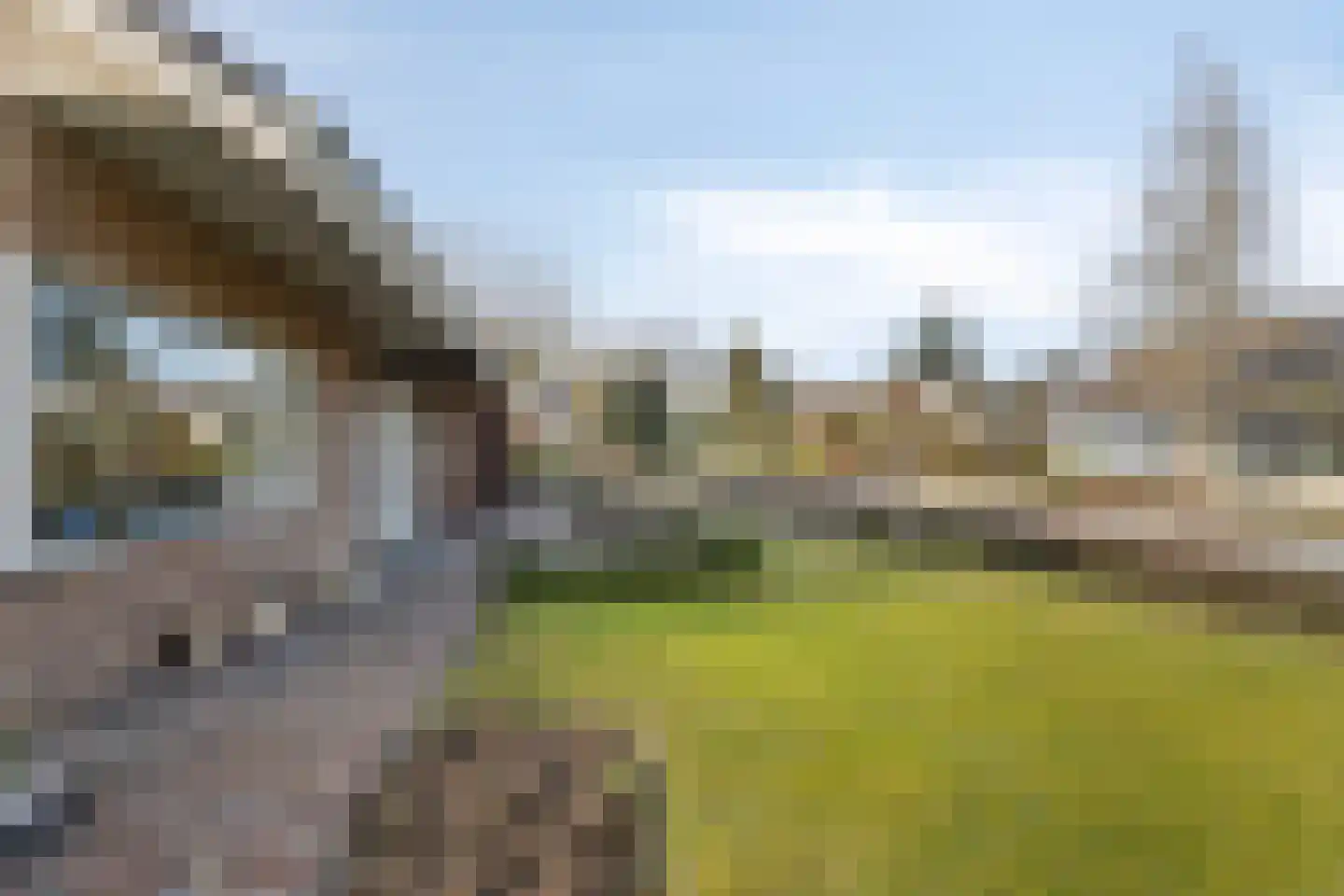 Luykenstraat 7 Goor thumbnail 6
