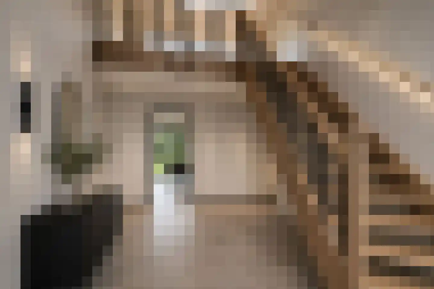 Luykenstraat 7 Goor thumbnail 7