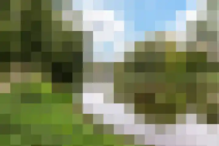 Luynhorst 11 Ede thumbnail 39