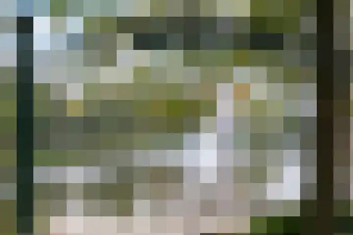 Luynhorst 11 Ede thumbnail 40