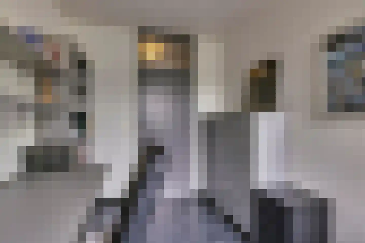 Luytelaer 10 Eindhoven thumbnail 20