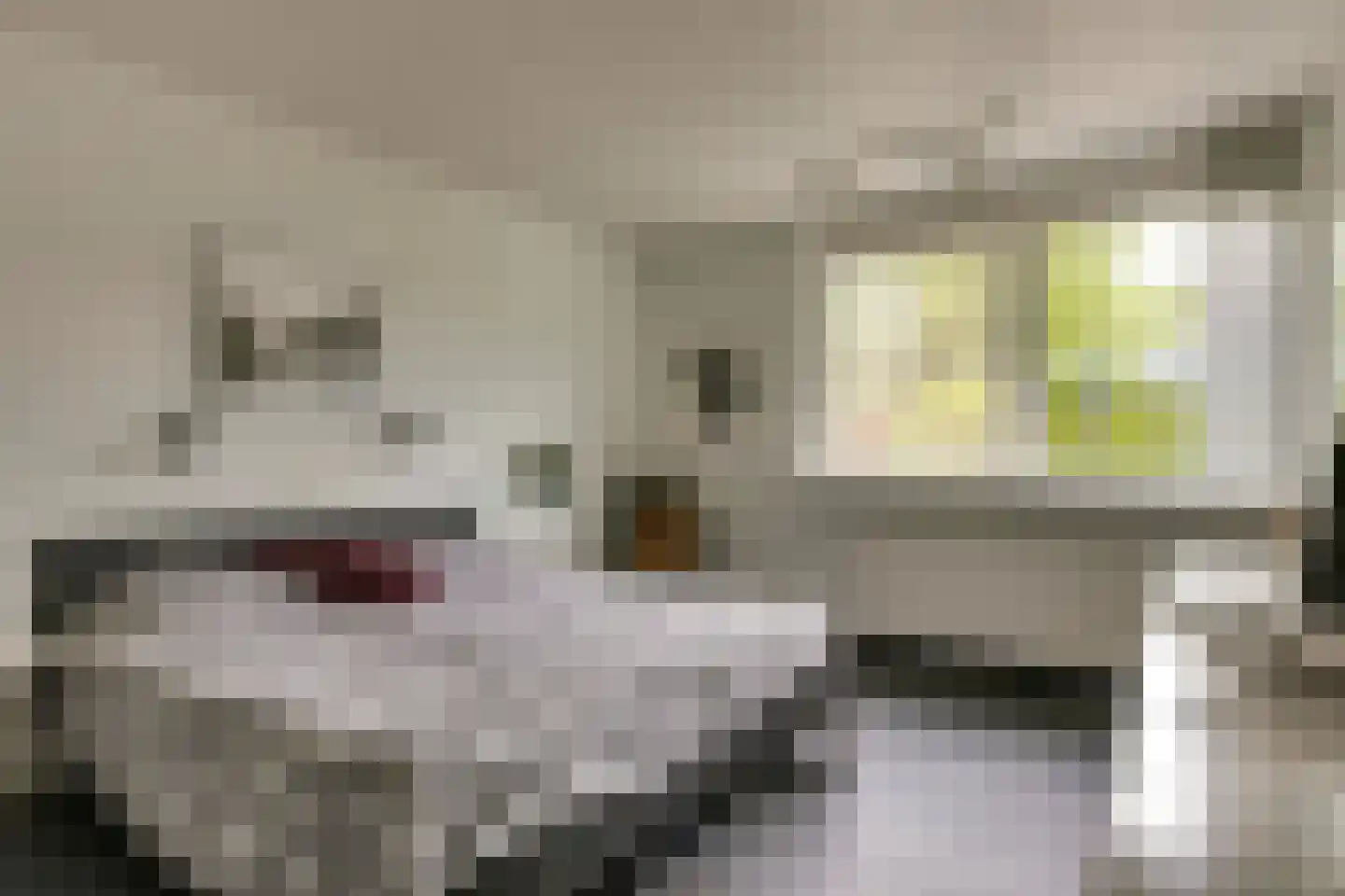 Luytelaer 10 Eindhoven thumbnail 25