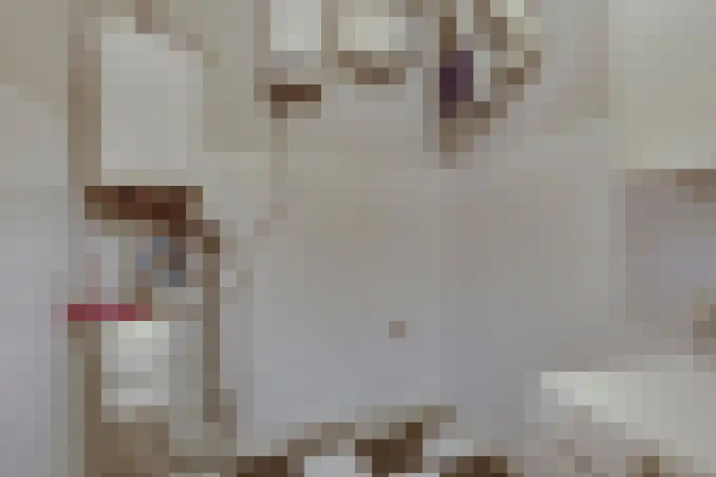 Luytelaer 10 Eindhoven thumbnail 37