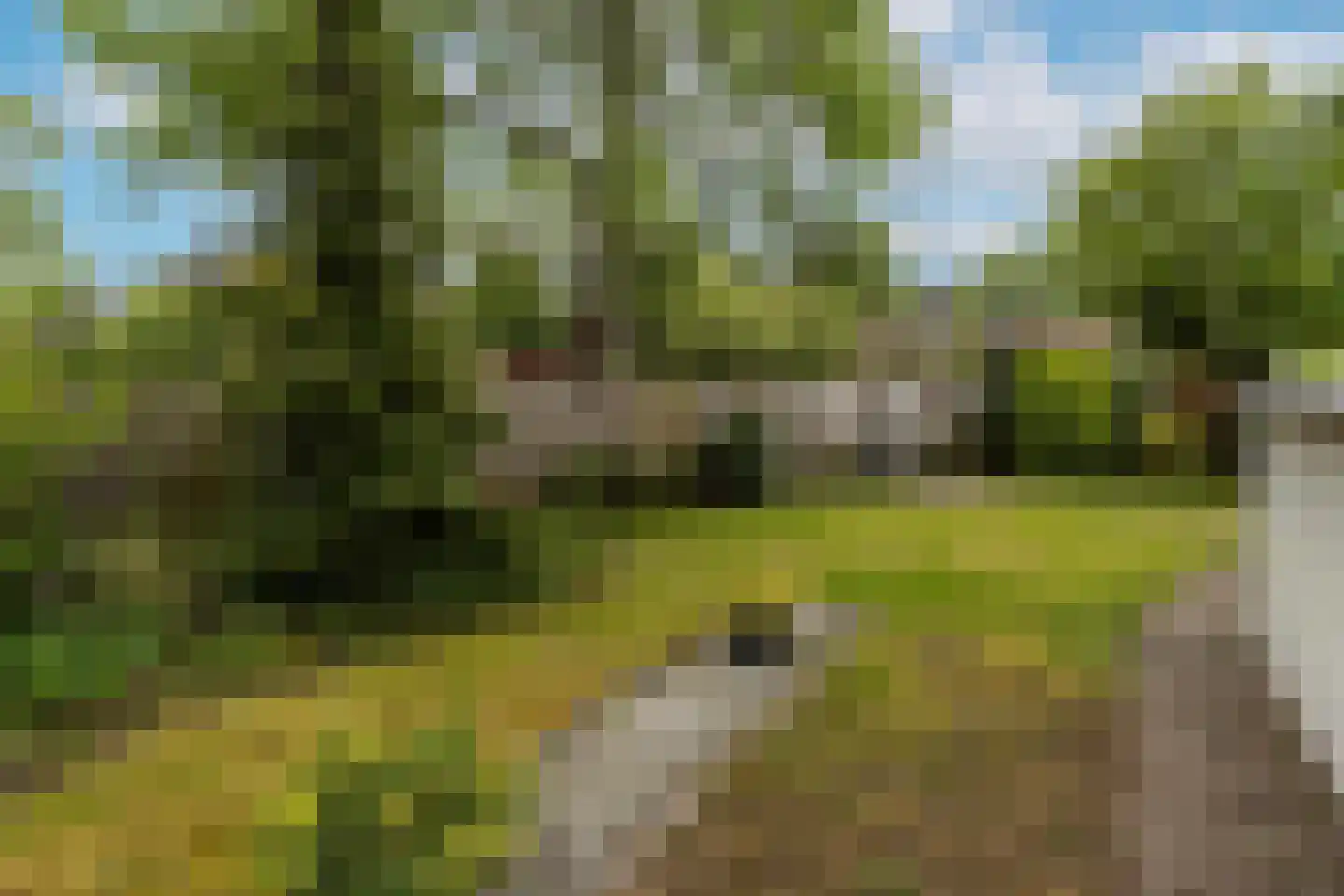 Luytelaer 10 Eindhoven thumbnail 46