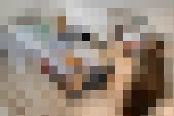 Luytelaer 23 Eindhoven thumbnail 13