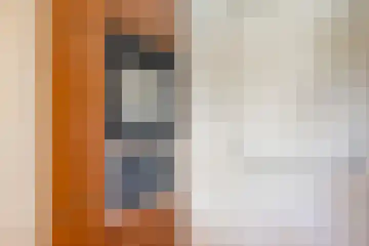 Luytelaer 23 Eindhoven thumbnail 20