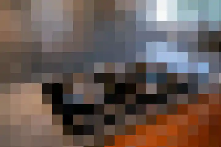 Luytelaer 23 Eindhoven thumbnail 21