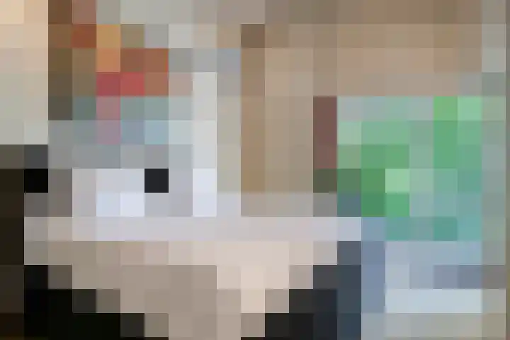 Luytelaer 23 Eindhoven thumbnail 23