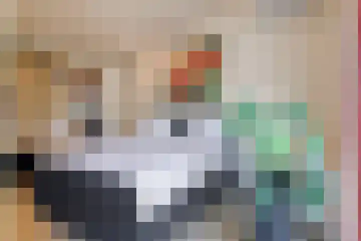 Luytelaer 23 Eindhoven thumbnail 24