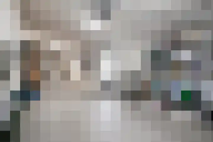 Luytelaer 23 Eindhoven thumbnail 32