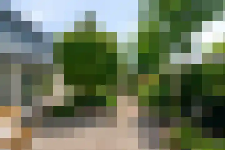 Luytelaer 23 Eindhoven thumbnail 33