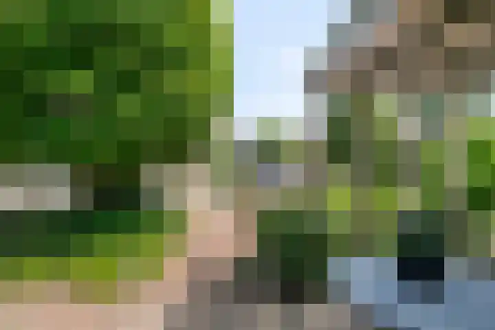 Luytelaer 23 Eindhoven thumbnail 37
