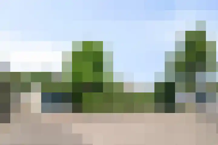 Luytelaer 23 Eindhoven thumbnail 41