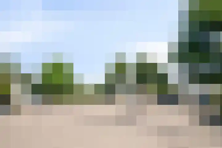 Luytelaer 23 Eindhoven thumbnail 42