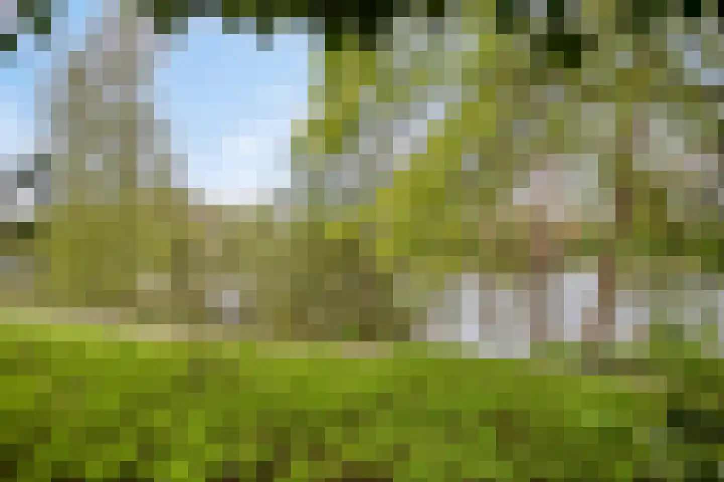 Luytelaer 37 Eindhoven thumbnail 43