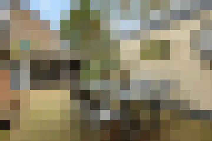 Luytenaarpad 45 Soest thumbnail 22