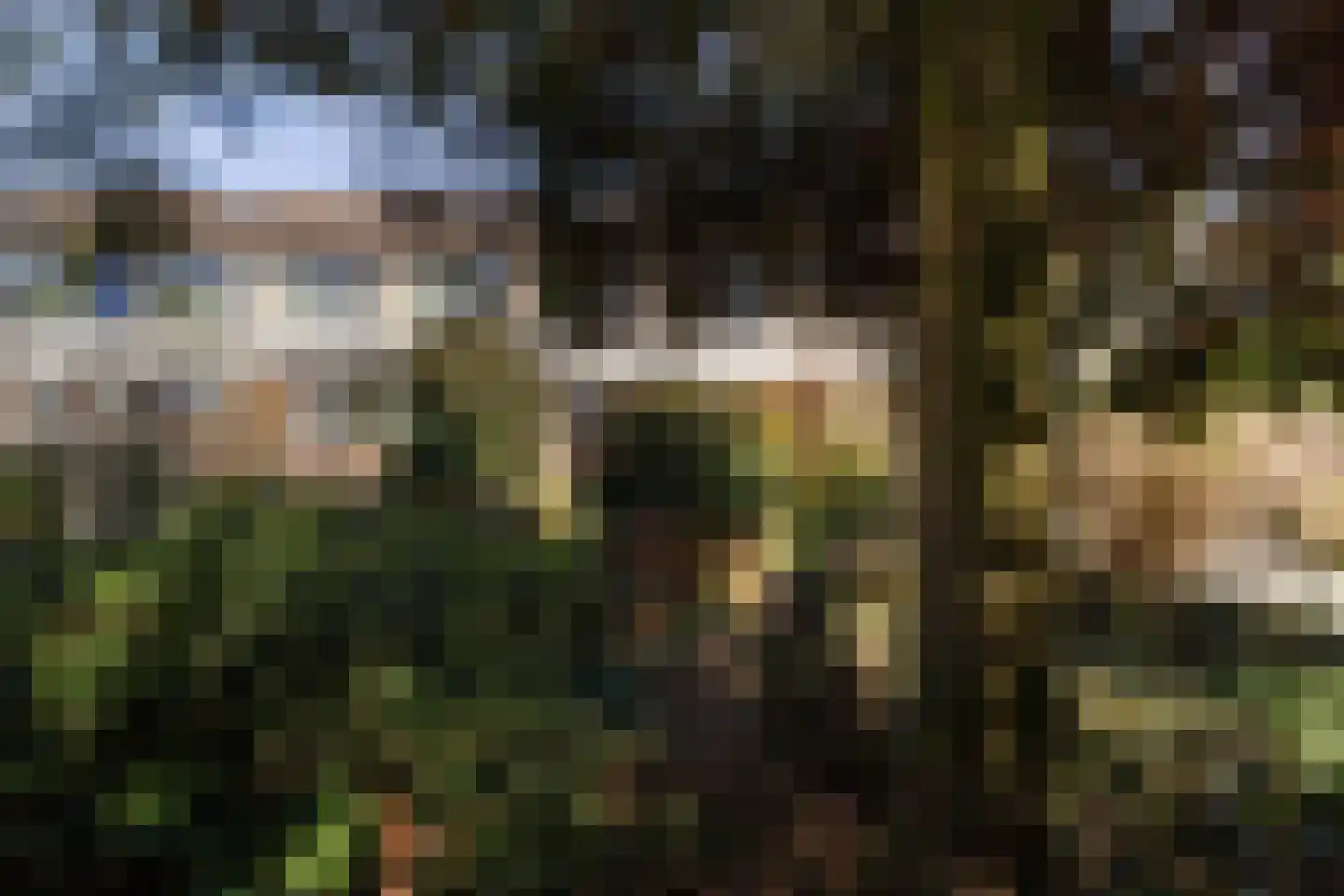 Luytenaarpad 57 Soest thumbnail 28