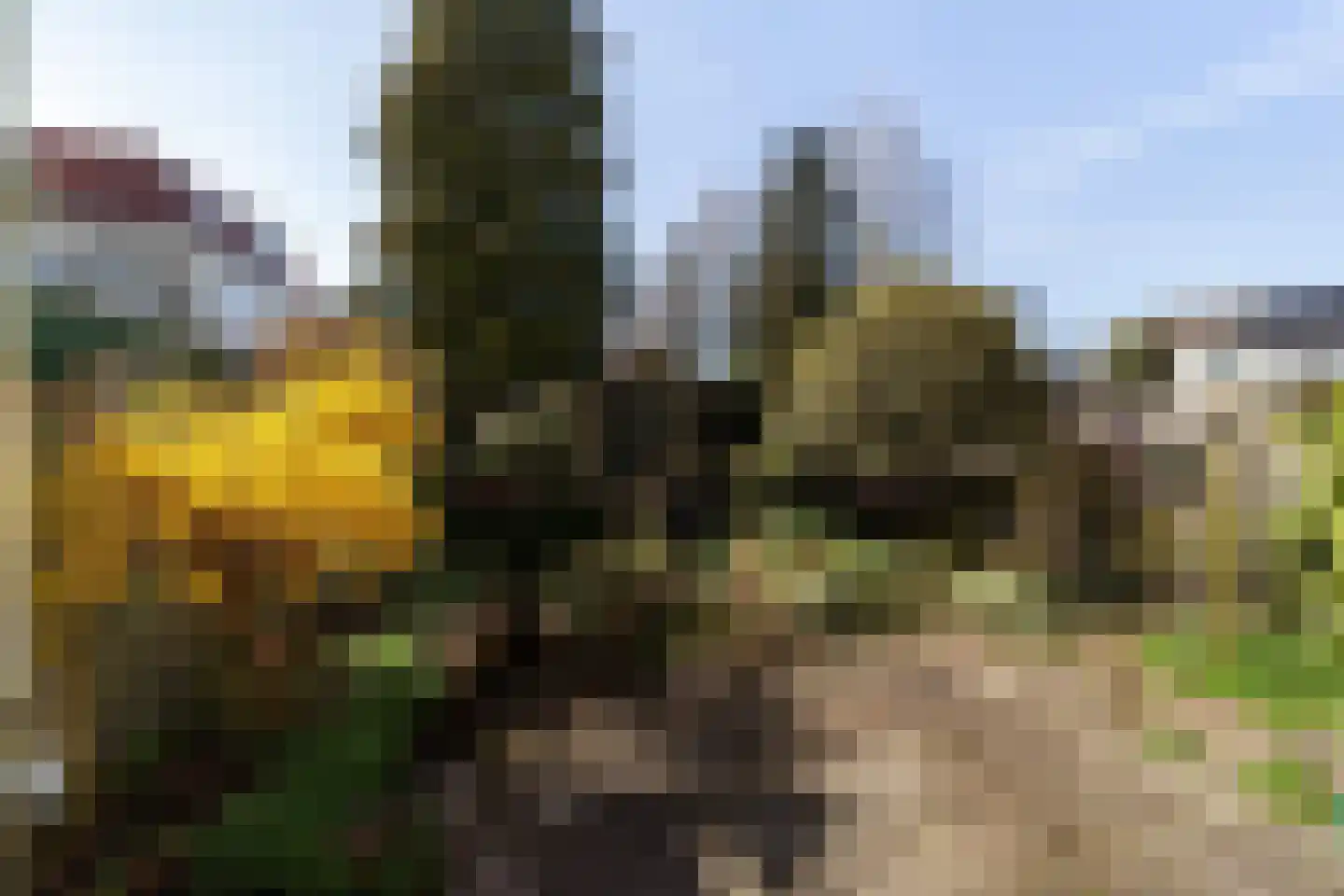 Luytenaarpad 57 Soest thumbnail 30