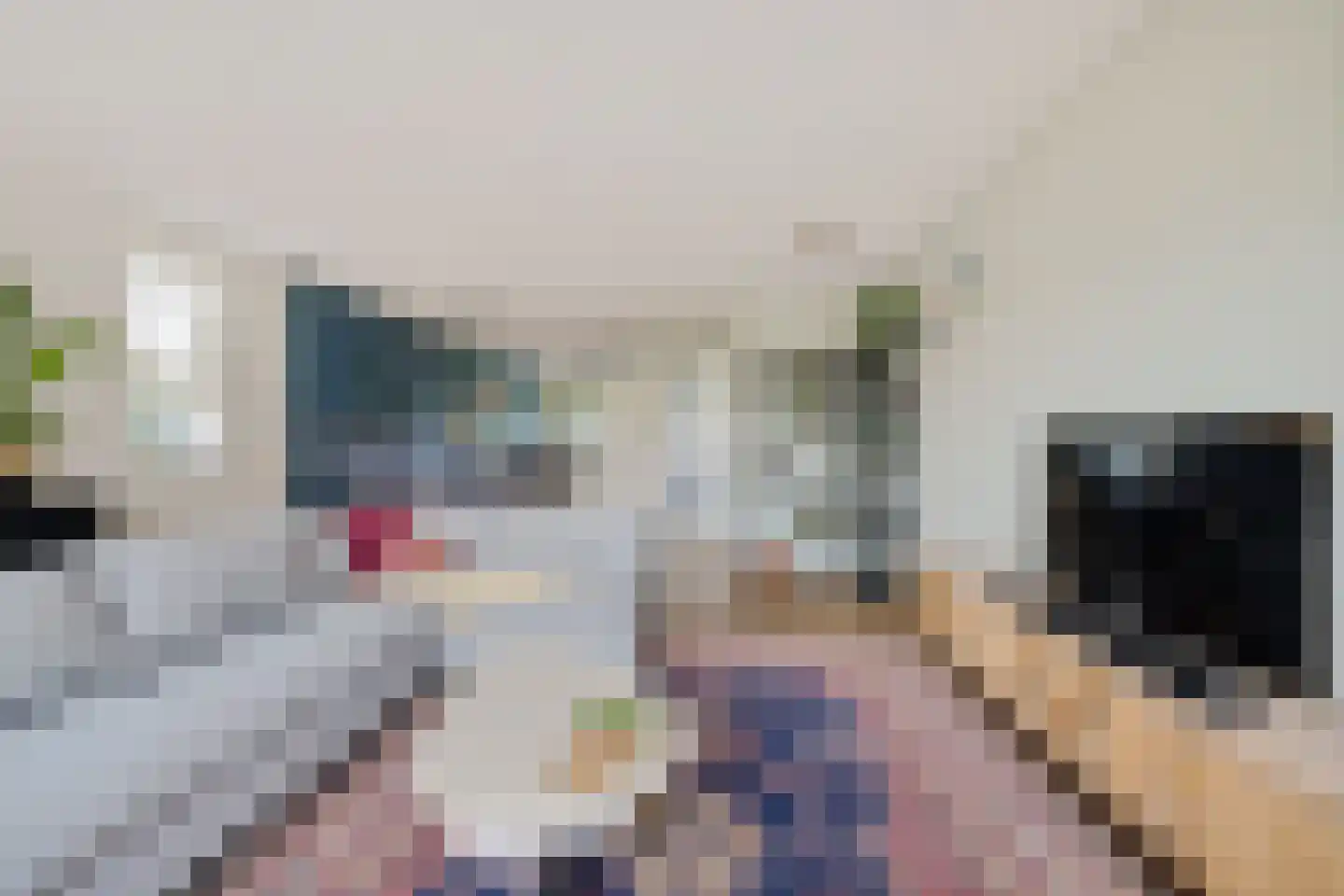 Luytkemeer 5 Heerenveen thumbnail 19