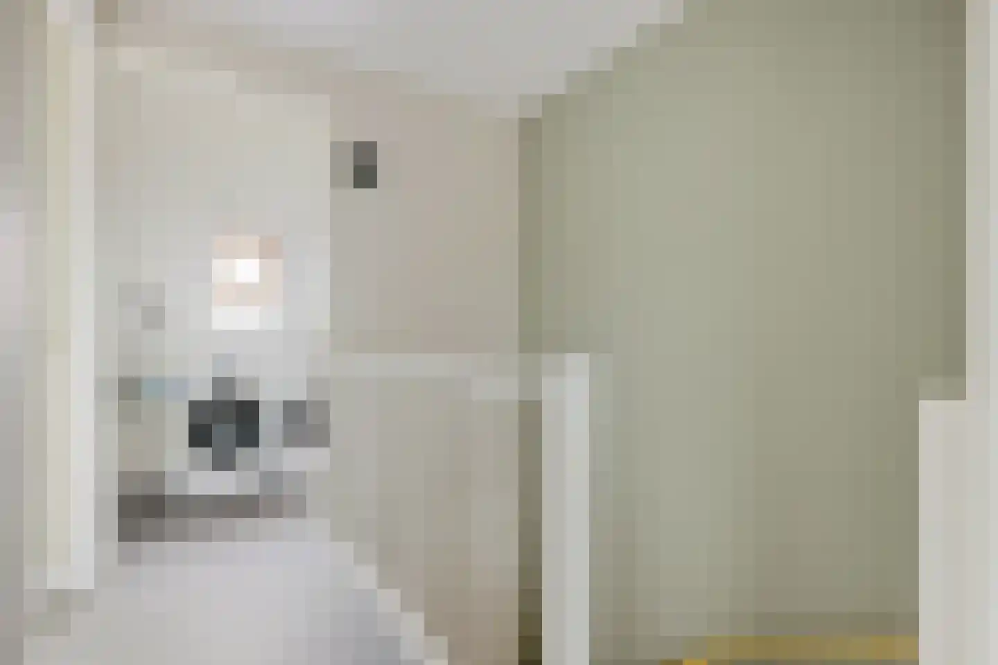 Luytkemeer 5 Heerenveen thumbnail 33