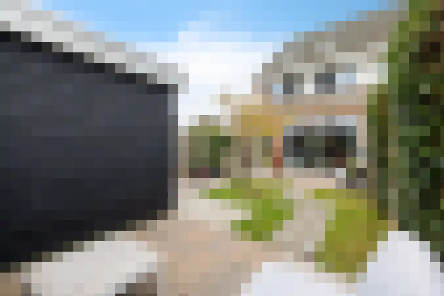 Luytkemeer 5 Heerenveen thumbnail 45