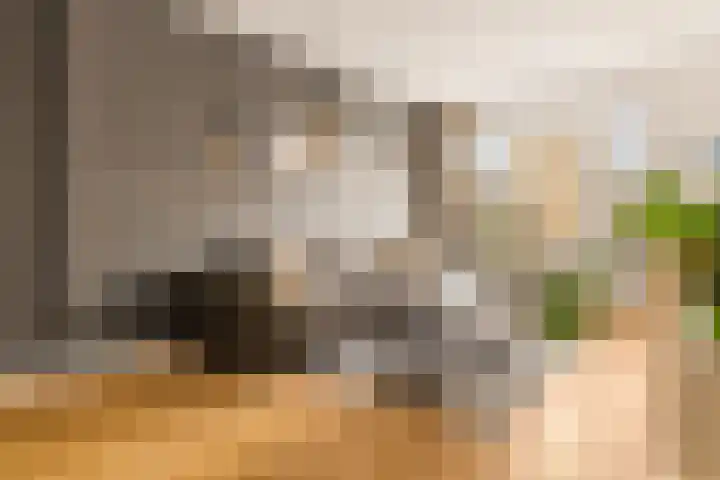Luzacstraat 1 2 Amsterdam thumbnail 7