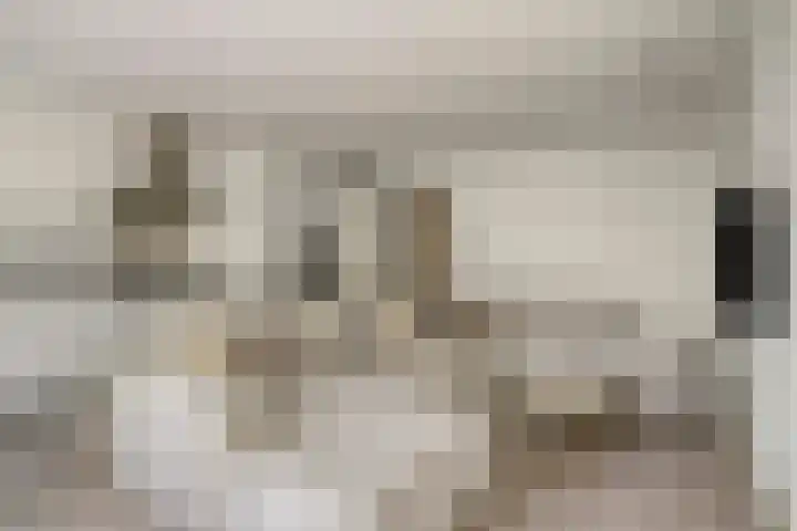 Luzacstraat 10 B 02 Rotterdam thumbnail 7