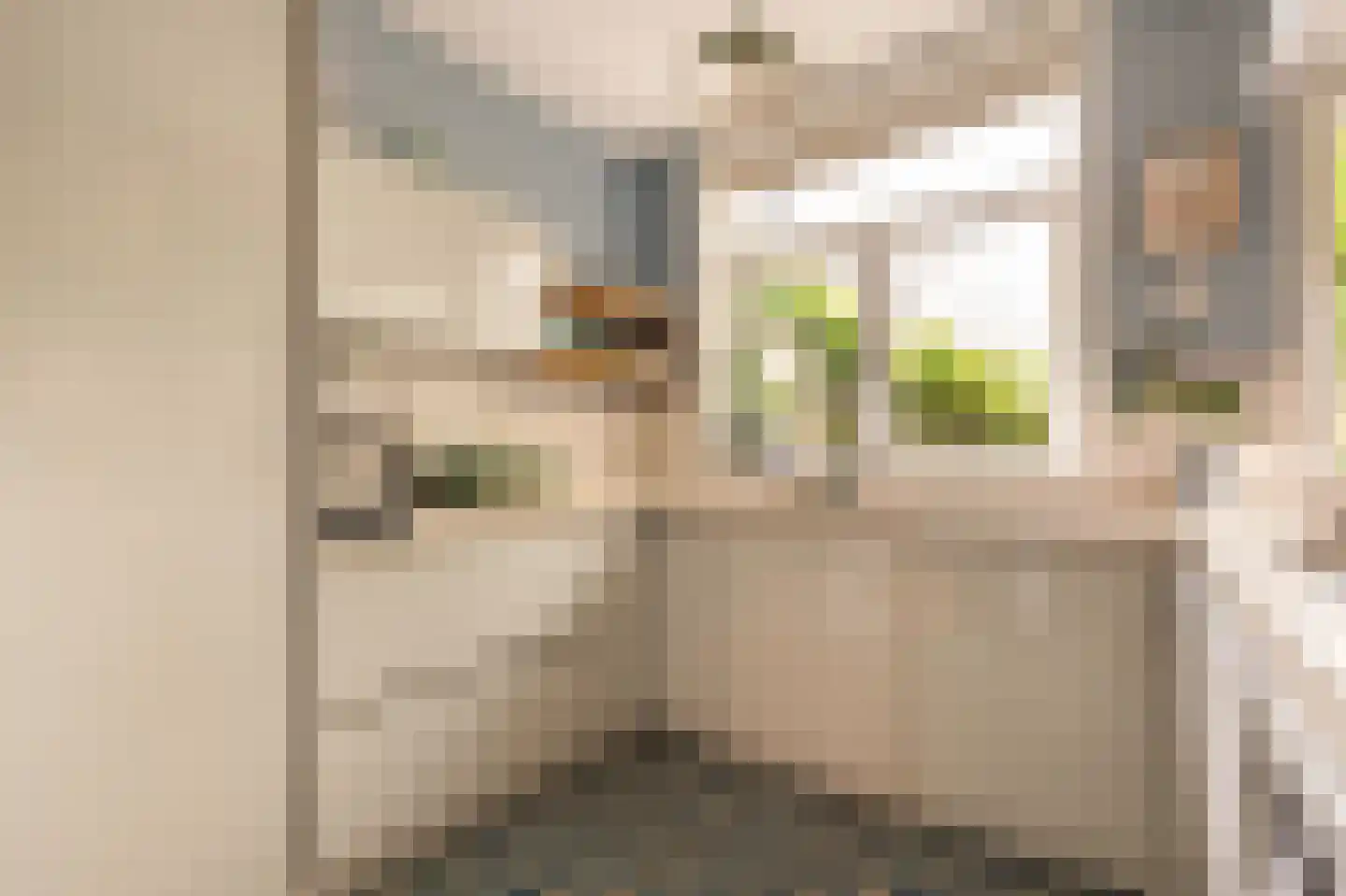 Luzacstraat 5 H Amsterdam thumbnail 11