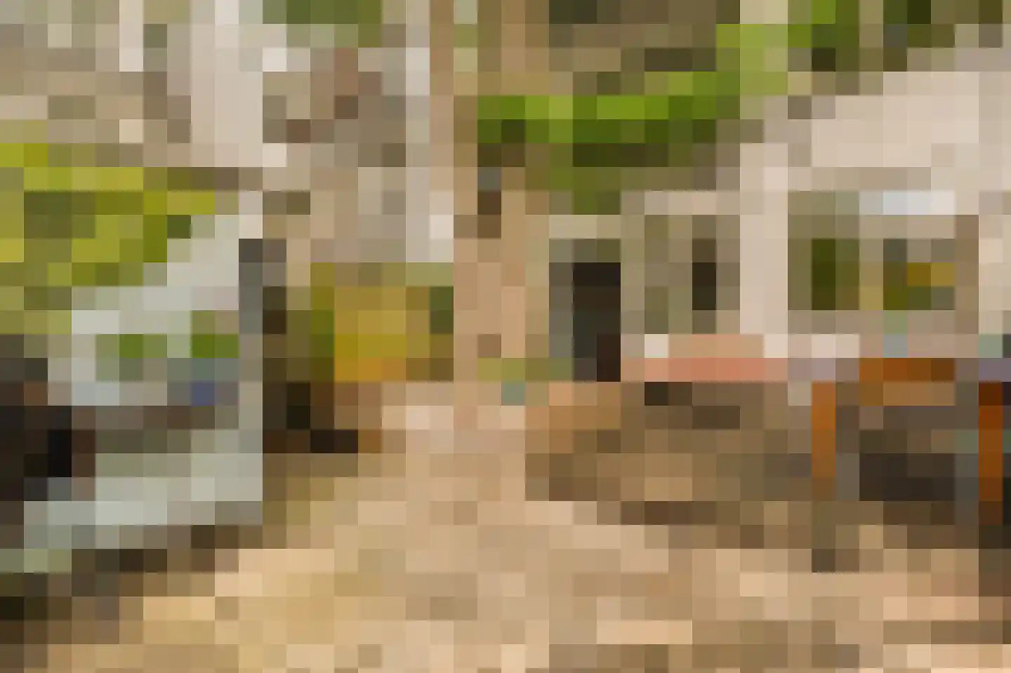 Luzacstraat 5 H Amsterdam thumbnail 17