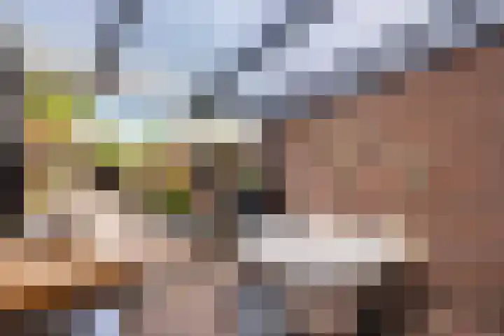 Luzacware 26 Zwolle thumbnail 23