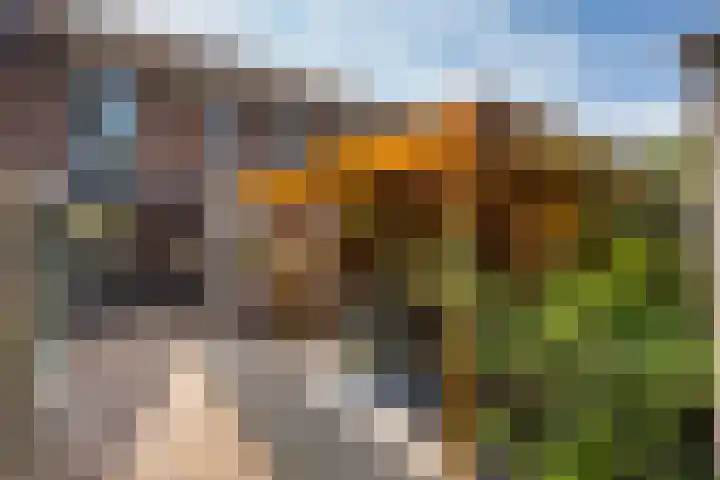 Luzacware 26 Zwolle thumbnail 24