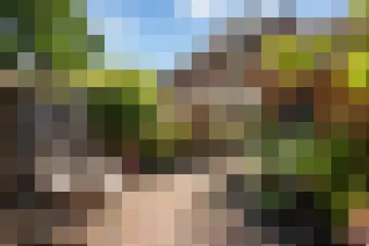 Luzacware 26 Zwolle thumbnail 27