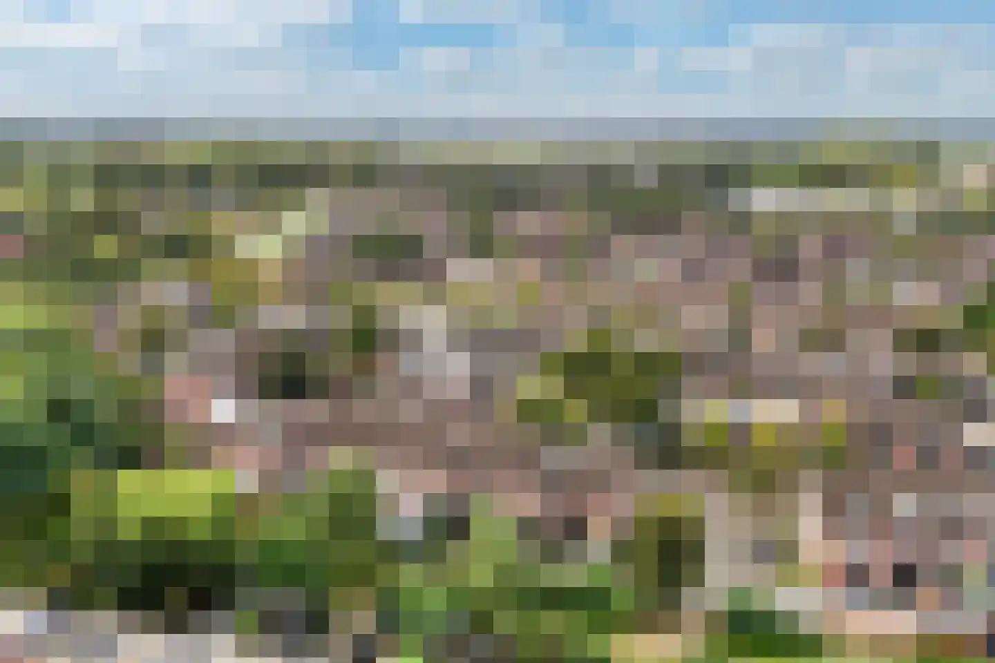 Luzacware 36 Zwolle thumbnail 29