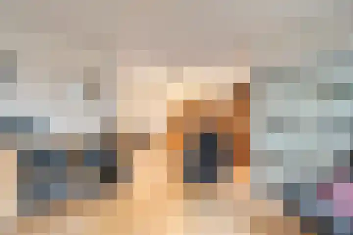 Luzacware 56 Zwolle thumbnail 11