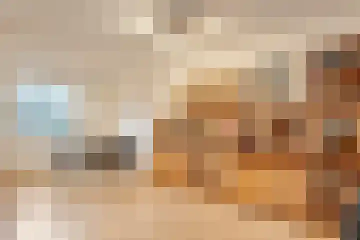 Luzacware 56 Zwolle thumbnail 13