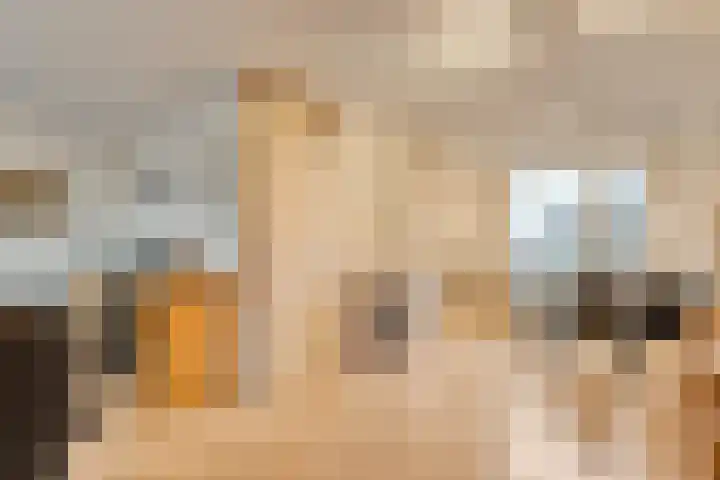 Luzacware 56 Zwolle thumbnail 14