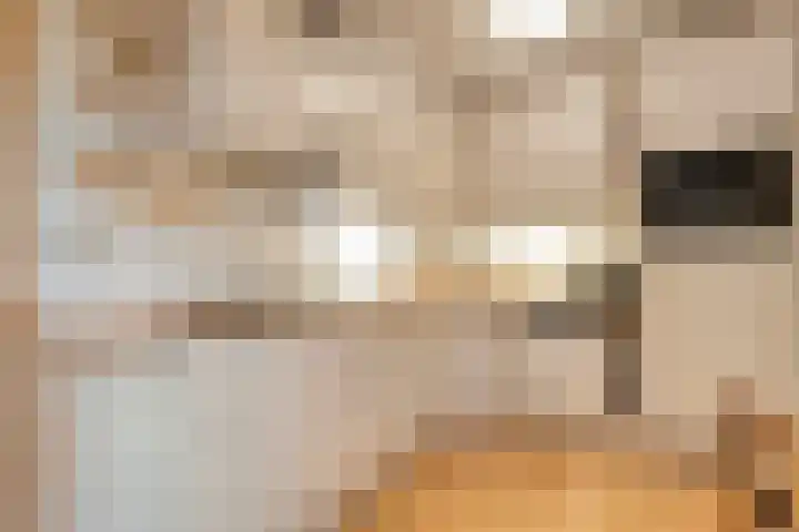 Luzacware 56 Zwolle thumbnail 17